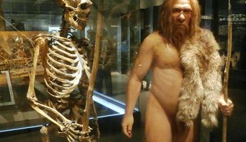 ¿Tienes genes de neandertal? Descubre a qué linaje prehistórico perteneces