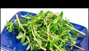 Remedio para las hemorroides (VIDEO)