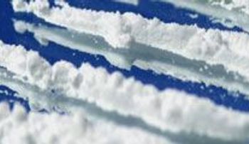 Caen redes hispanas de tráfico de drogas
