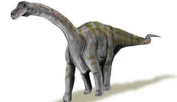 Así eran las crías del dinosaurio más grande del mundo al nacer