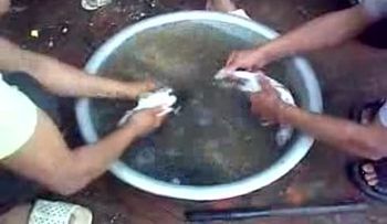 Video"Un chino captado cocinando ratones