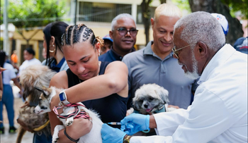 Salud anuncia jornada nacional de vacunación antirrábica gratuita