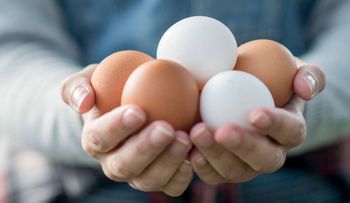  ¿Huevos blancos o marrones? ¿Cuáles prefieres?