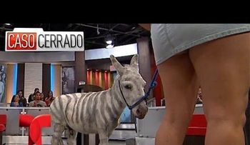 Demanda a su marido "imbécil" porque quería tener sexo con una cabra en la propia luna de miel
