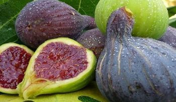 Cómo ganarle a la diabetes, triglicéridos, colesterol y ulceras con la increible fruta de higo y sus hojas