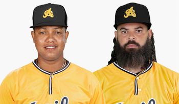 Starlin Castro, Carlos Paulino, Richelson Peña y Leuris Gómez se unen al vuelo de las Águilas como agentes libres