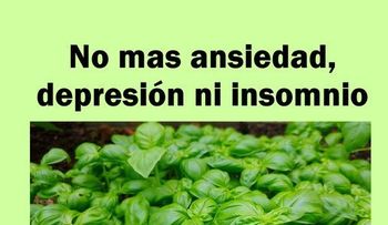 No mas depresión, ansiedad, ni insomnio