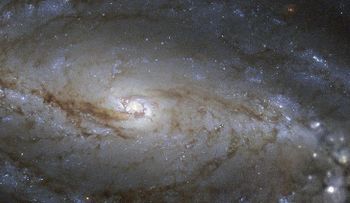 ¿Qué es esa megastructura orbitando la estrella a 1.500 años luz de distancia?