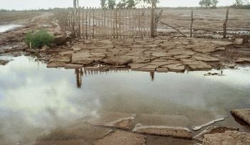 Pronto las aguas volverán a sus causes