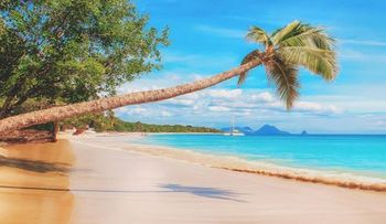 Encuentran en el Caribe una civilización perdida