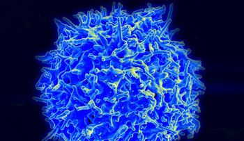 Niño de 8 años hace propuesta muy ingeniosa para combatir el cáncer
