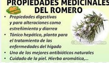 Romero: cura desde adentro y embellece por fuera