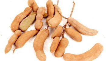 El Tamarindo una fruta que debes consumir