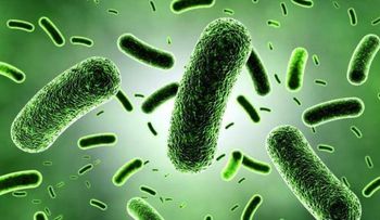 39 billones. Esa es la cantidad de bacterias que viven dentro de nuestro cuerpo
