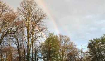 Asombrosa fotografía de 4 arcoíris en NY causa furor