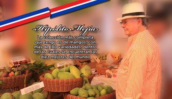 Hipólito Mejía dice que sus mangos son de los 10 mejores del mundo