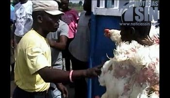 Productores advierten prohibiciones haitianas incitan al contrabando