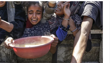 OMS: 7 % de los niños en Gaza sufren desnutrición