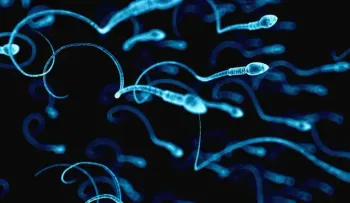 Aplican la Inteligencia Artificial para seleccionar esperma en reproducción