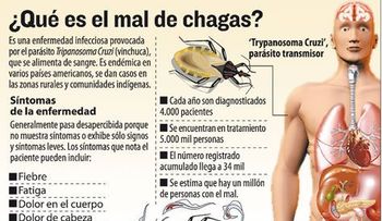 Enfermedad de Chagas  (VIDEO)