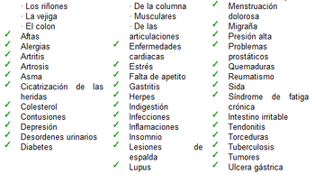 Noni - Un fruto con muchos beneficios