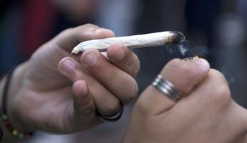 Científicamente probado: La marihuana lleva a las células cancerígenas al suicidio