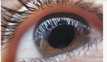 Premian terapia genética que devuelve la visión