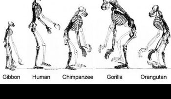Los mayores misterios sin resolver de nuestra historia