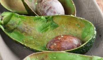 Las cáscaras de palta (aguacate) son un tesoro para la salud