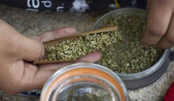 Un dominicano es arrestado en Providence con cinco kilos de marihuana