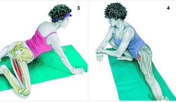 34 imágenes que muestran estiramientos musculares