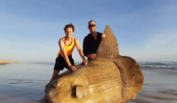 Apareció en una playa de Australia un extraño e inmenso pez