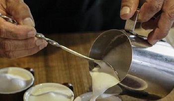 Consumir café no influye deshidratación de las personas