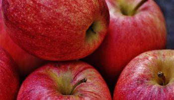 La manzana aporta vitaminas B1 y B6, que evitan el agotamiento mental y refuerzan la memoria
