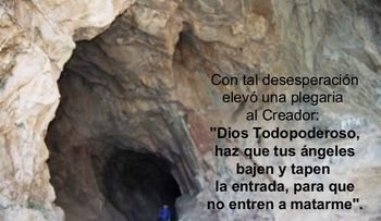 "Muro y Telarañaâ?.