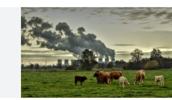 Contaminación del aire: un enemigo invisible que mata en silencio