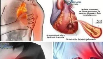 Para aquellos que se levantan de noche a revisar la casa o a orinar