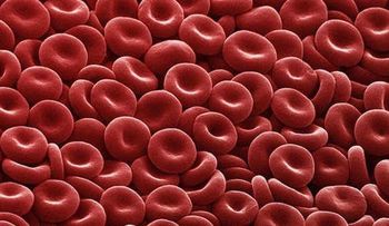 Anticuerpo previene trombosis sin riesgo de hemorragias