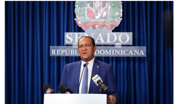 Denuncian tala indiscriminada de pinos en Villa Los Almácigos