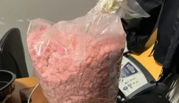 Ocupan 2,500 pastillas presumiblemente éxtasis en aeropuerto Las Américas