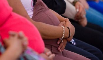Suman 279 casos de Zika en España, 42 de mujeres embarazadas