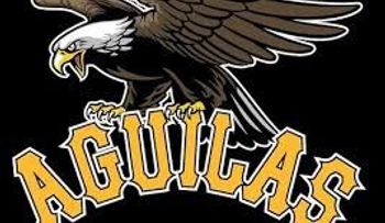 El bajo desempeño de las Aguilas y dónde buscar sus culpables