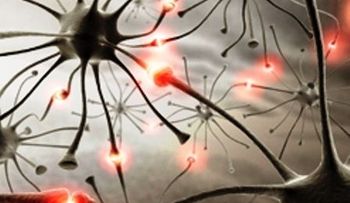 ¿Hay relación entre la epilepsia y la esquizofrenia? 