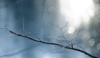 Los nacidos en invierno tienen más riesgo de padecer esquizofrenia