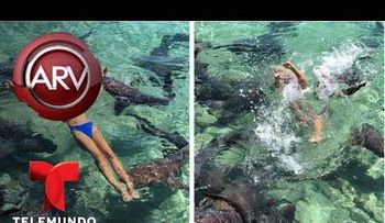 Tiburón muerde modelo en sesión de fotos muy sensuales