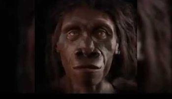 6 millones de años en un minuto: cómo ha evolucionado el rostro humano