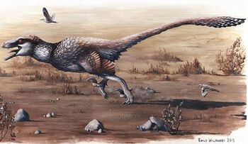 Nace el mayor raptor con plumas