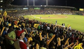 Todavía no se puede jugar pelota en el estadio Cibao 