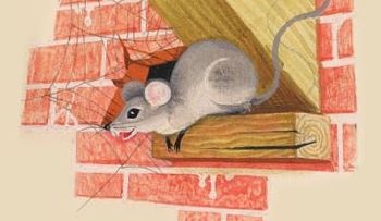 7 formas de alejar las ratas de tu hogar