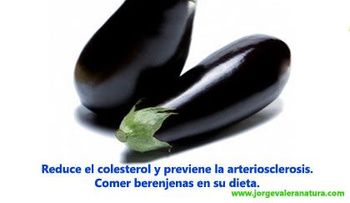 Propiedades medicinales de la berenjena